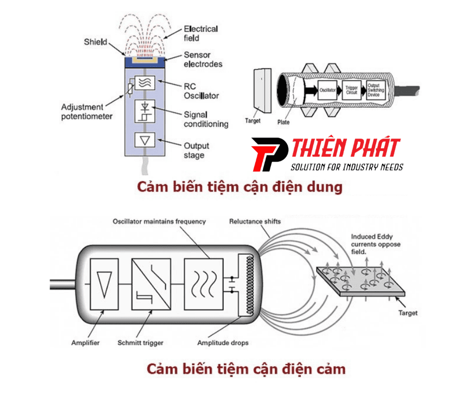 cau-tao-cam-bien